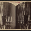 Eagle at park [recto]; Beauties of Eldridge Park [verso].