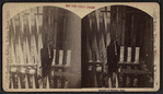 Eagle at park [recto]; Beauties of Eldridge Park [verso].