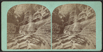 Frowning Cliff, Freer's Glen. Schuyler Co. N. Y..
