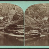 Matchless scene  in Freer's Glen, Schuyler County, N. Y..