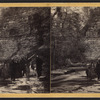 The ampitheater, 2nd view, 2nd glen.