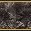 Shadow Gorge, looking down, 4th glen.