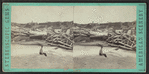 Logs washed over the dam, west side of the bridge, Glens Falls, N.Y.