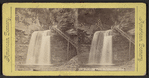 Eagle Cliff Falls, Havana Glen, N. Y..