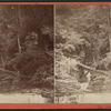 Central Gorge.