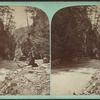 Enfield ravine looking down, Ithaca, N.Y.