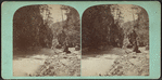 Enfield ravine looking down, Ithaca, N.Y.
