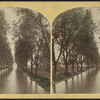 Willow Avenue, Ithaca, N.Y.