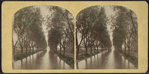 Willow Avenue, Ithaca, N.Y.