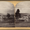 Ithaca, N.Y.