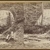Veiled Fall, Ithaca, N.Y.