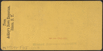 Sage College, Cornell University, Ithaca, N.Y. (from south).