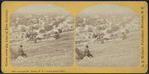 Cayuga Street, Ithaca, N.Y. (from South Hill).