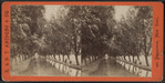 Willow Avenue, Cascadilla Creek.