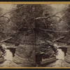 Looking down the glen, Buttermilk Ravine, Ithaca, N.Y.