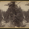 Looking west from the Giant's Stairs, the Tripple Cascade in the distance, Cascadilla Creek.
