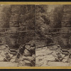 Foot bridge over the flume, Enfield Ravine.