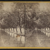 Willow Avenue, Cascadilla Creek.