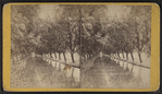 Willow Avenue, Cascadilla Creek.