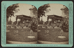A sketch from Hon. Henry W. Sage's grounds, Ithaca, N.Y.