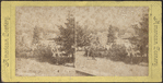 Caldwell, from Fort Wm. Henry Hotel, Lake George.