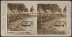 Along the beach at Kattskill [Catskill] House, Lake George.