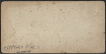 Lake George. [View in forest.]