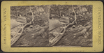 View of an old house and canoe, Lake George.