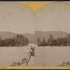 T [i.e. Tea] Island, Lake George.