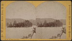 T [i.e. Tea] Island, Lake George.