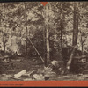 The remains of a camp, Lake George.