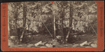 The remains of a camp, Lake George.