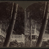Rustic stairs.