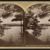 A glimpse of Caldwell, Lake George.