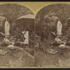 "The deserted nest," Lake George.