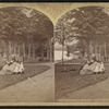 Crosbyside, the lawn, Lake George.