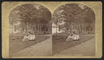 Crosbyside, the lawn, Lake George.