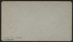 Babes in the woods," Lake George, Aug. 5, 1876.