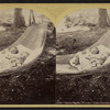 Babes in the woods," Lake George, Aug. 5, 1876.