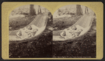 Babes in the woods," Lake George, Aug. 5, 1876.