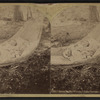 Babes in the woods," Lake George, Aug. 5, 1876.