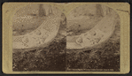 Babes in the woods," Lake George, Aug. 5, 1876.