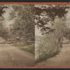 View of a road