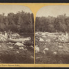 Bartlett's Landing, Upper Saranac Lake.