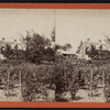 Farm-yard.