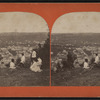 From summit of Rollway, Little Falls, N.Y.