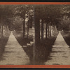 Walk in Gansevoot [i.e. Gansevoort] Street, Little Falls, N.Y.