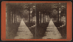 Walk in Gansevoot [i.e. Gansevoort] Street, Little Falls, N.Y.