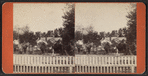 Street view, Lockport, N.Y.