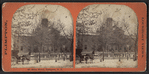 Horse and carriage on snowy street in front of large building, Lockport, N.Y.